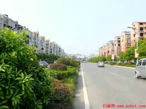 萍安大道景象图片学区